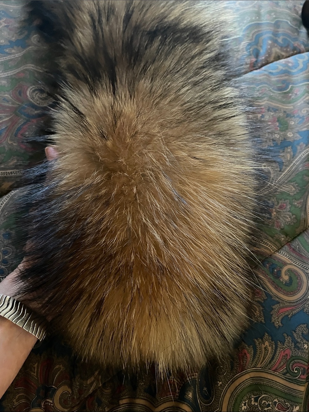 Luxurious Real Fox in Brown and Black Tones